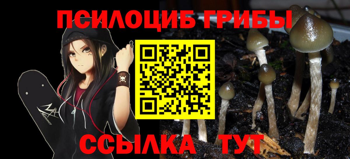 Юрга  Псилоцибиновые грибы Magic Shrooms  Вход с VPN 